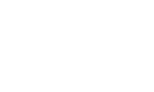 OnlyBulls
