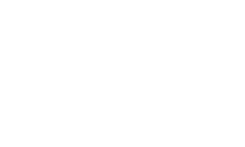 Racing Optics