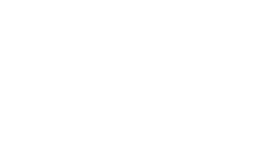 Sonsio Vehicle Protection